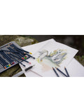 Derwent watercolour pencils set of 12 (British brand)