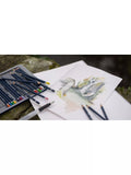 Derwent watercolour pencils set of 12 (British brand)
