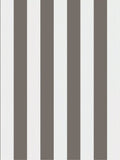 Cole & Son Regatta Stripe Wallpaper