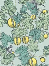 John Lewis Cole & Son Frutto Proibito Wallpaper 10m x 52cm- Buy online at McGrocer