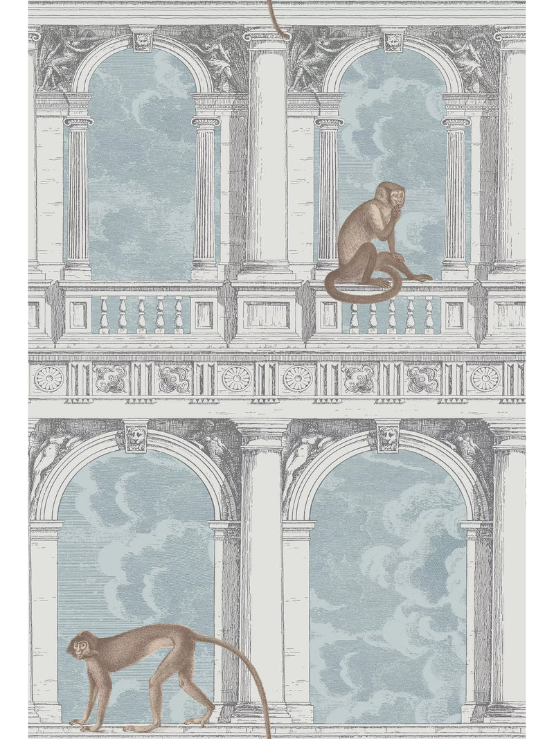 Cole & Son Procuratie con Vista wallpaper roll 10m (British brand)