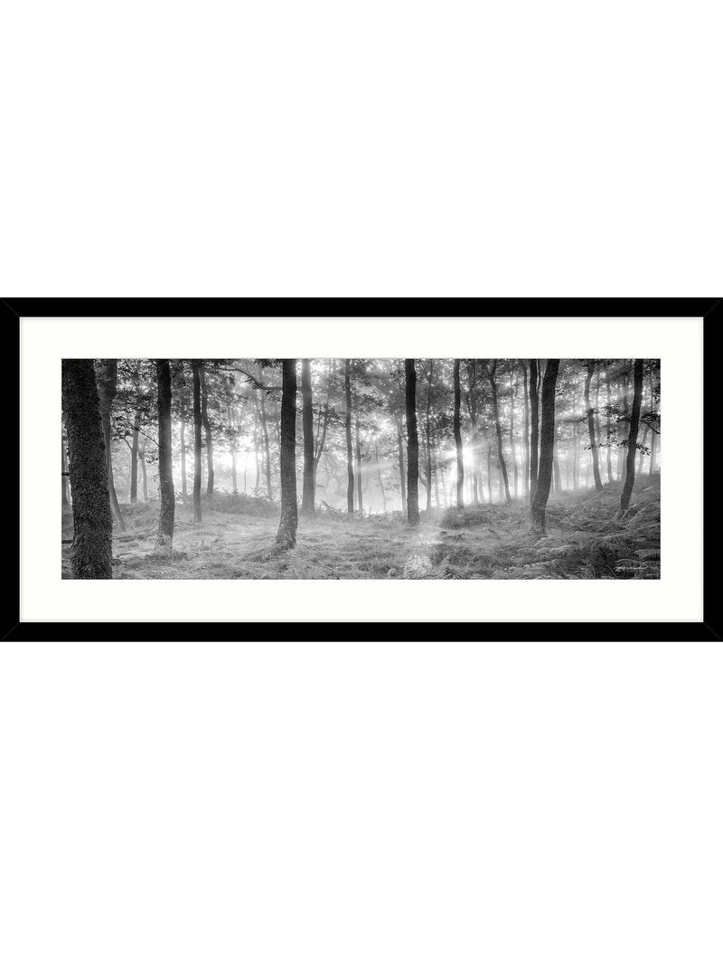 John Lewis framed print Misty Trees 49x104cm, imported from the UK