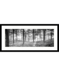 John Lewis framed print Misty Trees 49x104cm, imported from the UK