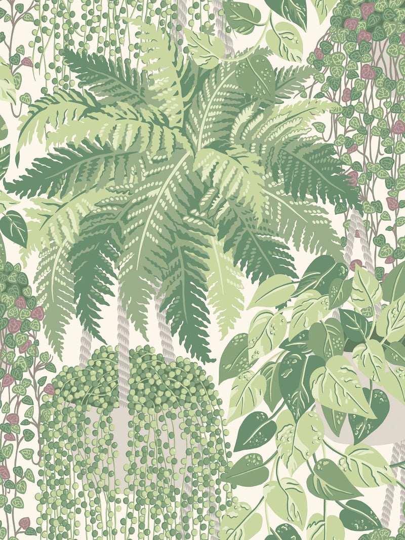 Cole & Son Fern wallpaper 10m x 52cm - British product