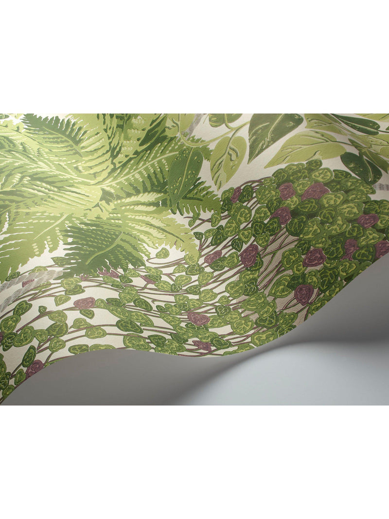 Cole & Son Fern wallpaper 10m x 52cm - British product