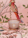 Baobab Collection Max 10 Woman scented jar candle 950g - British product