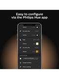 Philips Hue outdoor PIR motion sensor (British brand)