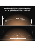 Philips Hue outdoor PIR motion sensor (British brand)