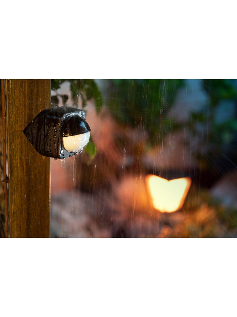 Philips Hue outdoor PIR motion sensor (British brand)