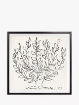 John Lewis John Lewis Henri Matisse 'The Plain Tree 1951' Framed Print & Mount, 102 x 102cm- Buy online at McGrocer