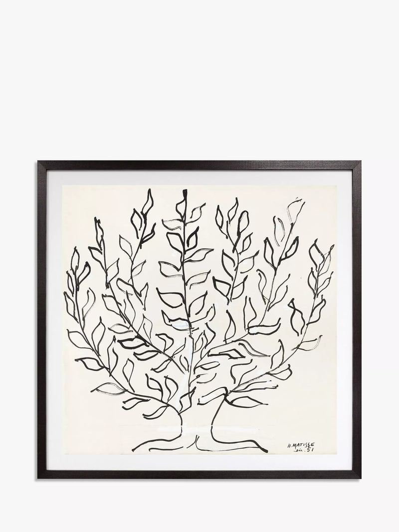 John Lewis Matisse The Plain Tree framed print 102x102cm, UK version