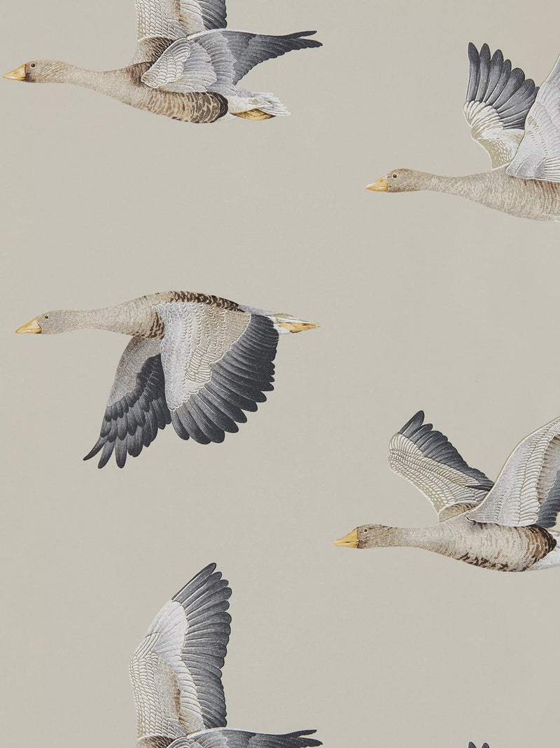 Sanderson Elysian Geese wallpaper (British brand)