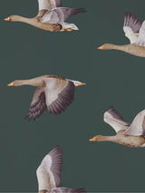 John Lewis Sanderson Elysian Geese Wallpaper- Buy online at McGrocer