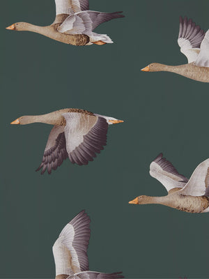 Wide Width Wallpaper with Hand-Drawn Geese Design on Chalky Ground