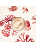 Shiseido wrinkle smoothing cream enriched 50ml (British brand)