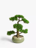 John Lewis artificial bonsai pine tree medium, imported from the UK
