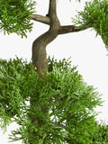John Lewis artificial bonsai pine tree medium, imported from the UK