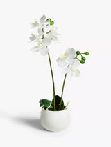 John Lewis John Lewis Artificial Small White Orchid in Ceramic Pot Artificial Plant- Buy online at McGrocer
