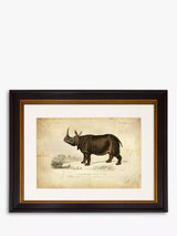 John Lewis Brookpace Lascelles Rhinoceros Framed Print and Mount Grey 46 x 55cm- Buy online at McGrocer