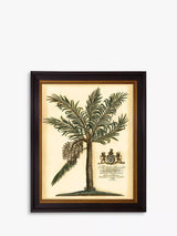 John Lewis Brookpace Lascelles Fruitful Palm III Green Framed Photo Print 51 x 41cm- Buy online at McGrocer