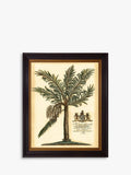 Brookpace Lascelles Fruitful Palm III framed print green 51x41cm - British product
