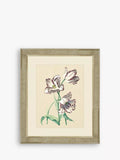 Brookpace Lascelles tulips framed print 60x50cm - British product