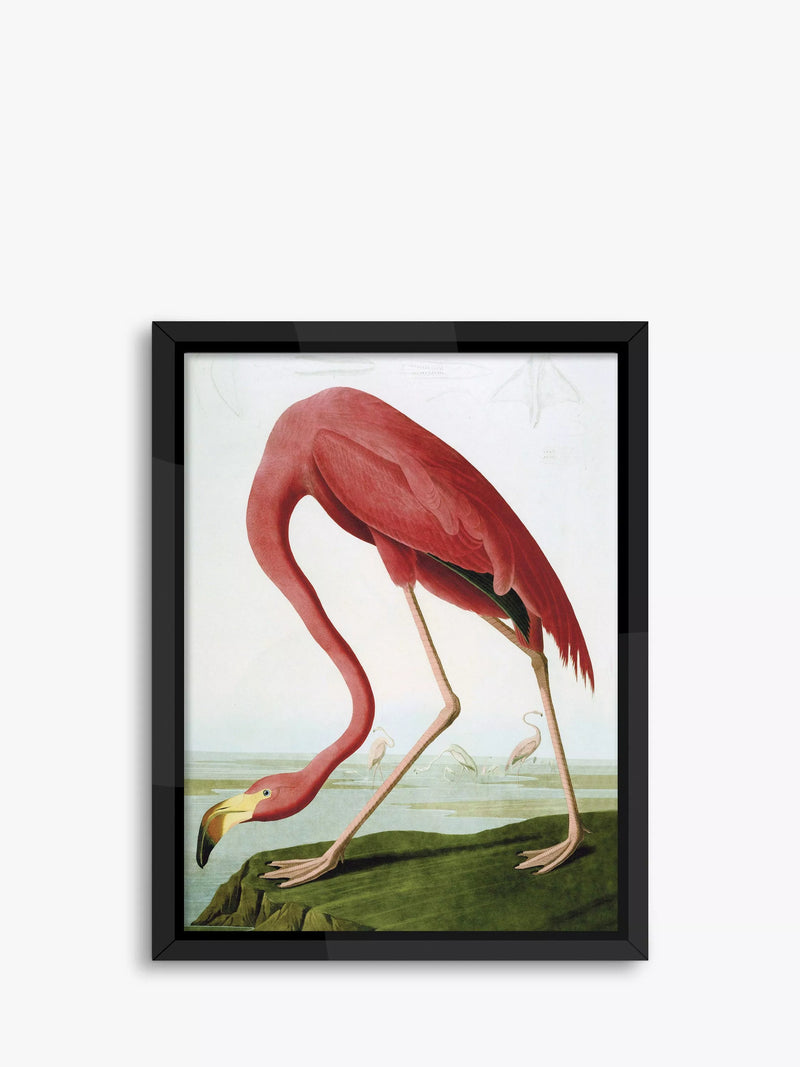Brookpace Lascelles framed flamingo print 86x66cm - British product