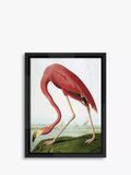 Brookpace Lascelles framed flamingo print 86x66cm - British product