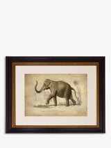 John Lewis Brookpace Lascelles Elephant Grey Framed Print and Mount Photo Frame 46 x 55cm- Buy online at McGrocer