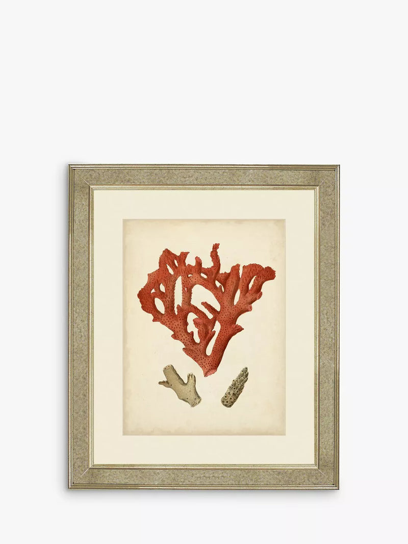 Brookpace Red Coral II framed print 60 x 50cm - British product