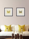 Brookpace Lascelles butterfly framed print 45.5cm (British brand)