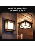 Philips Hue Econic smart outdoor wall light in black, imported from the UK