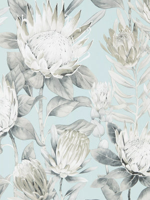 King Protea Floral Design Statement Wallpaper