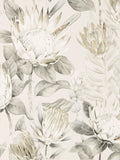 King Protea Floral Design Statement Wallpaper