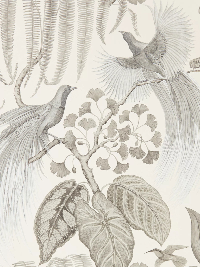 Sanderson Bird of Paradise wallpaper (British brand)
