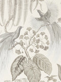 Sanderson Bird of Paradise wallpaper (British brand)