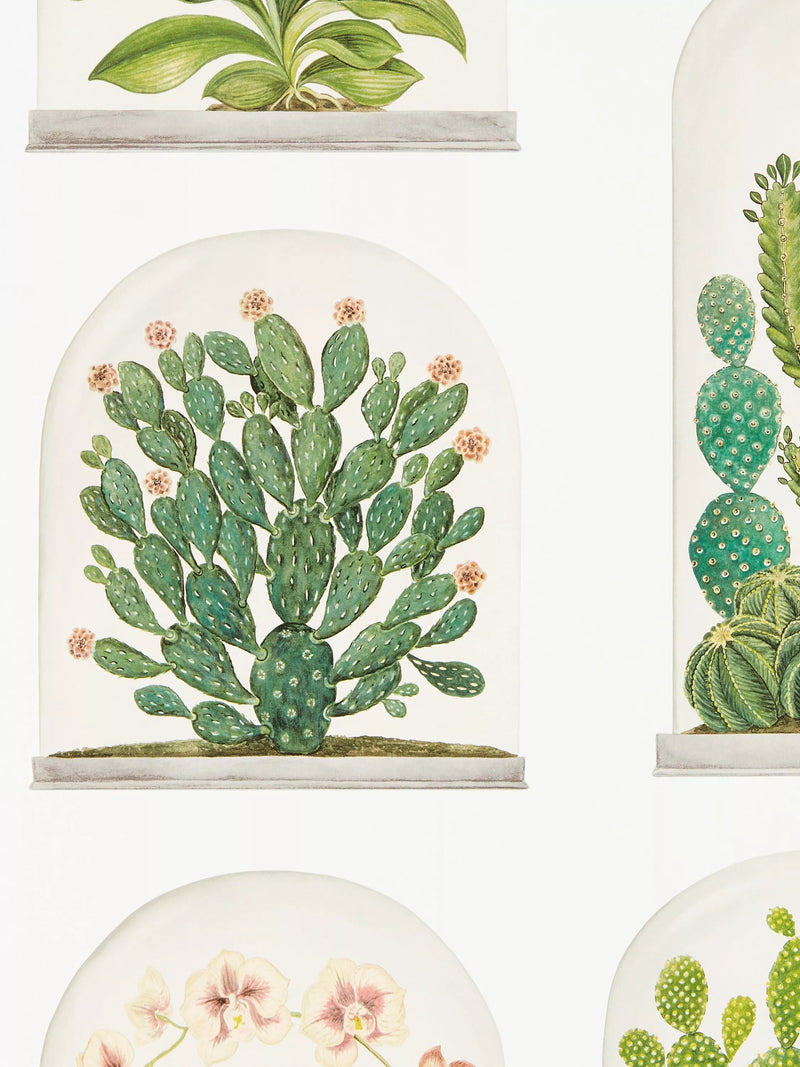 Sanderson Terrariums Wallpaper (British brand)