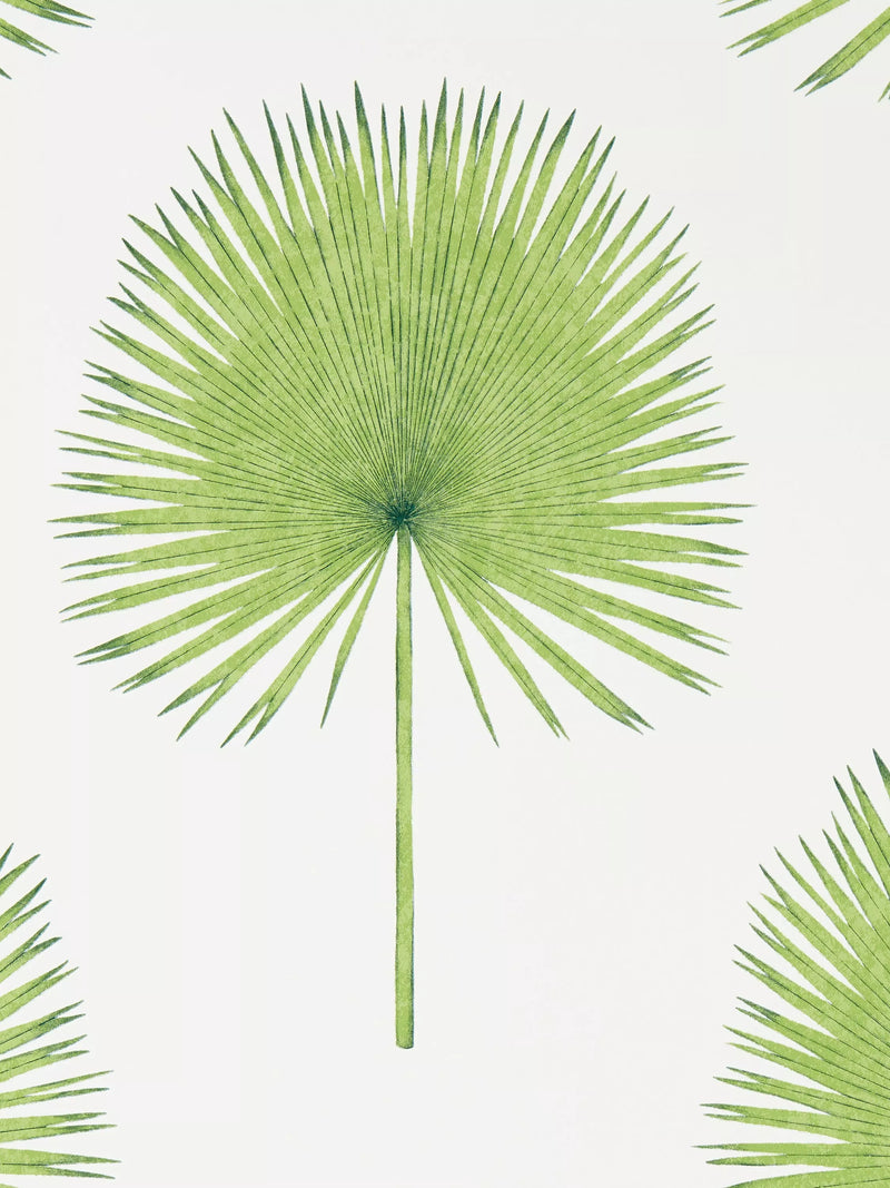 Sanderson Fan Palm wallpaper 10m x 52cm, UK version