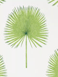 Sanderson Fan Palm wallpaper 10m x 52cm, UK version