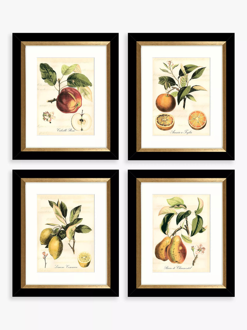 John Lewis Tuscan Fruit framed prints set of 4 - (British brand)