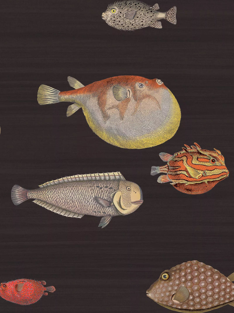 Cole & Son Acquario Wallpaper