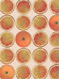 Cole & Son Arance Wallpaper Roll 10m x 52cm