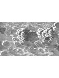 Cole & Son Nuvolette wallpaper two-roll set, imported from the UK