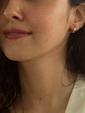 IBB 9ct gold diamond cut small hoop earrings, imported from the UK