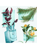 Tiffany & Co Tiffany & Love For Her Eau de Parfum 50ml, imported from the UK