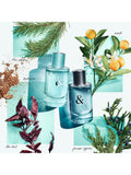 Tiffany & Co Tiffany & Love For Her Eau de Parfum 50ml, imported from the UK