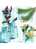 Tiffany & Co Tiffany & Love For Her Eau de Parfum 50ml, imported from the UK