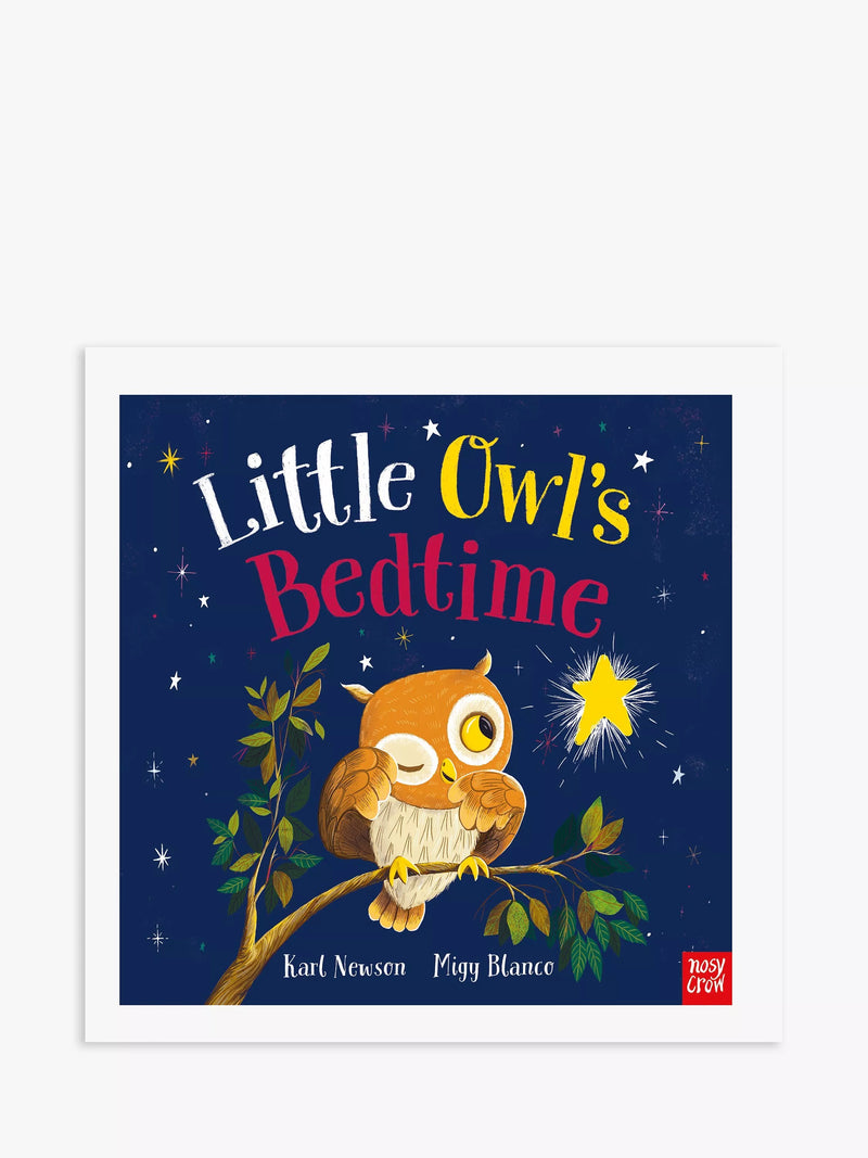 Nosy Crow children's book Little Owl Bedtime - British product