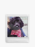 instax SQUARE instant film 20 shots, imported from the UK