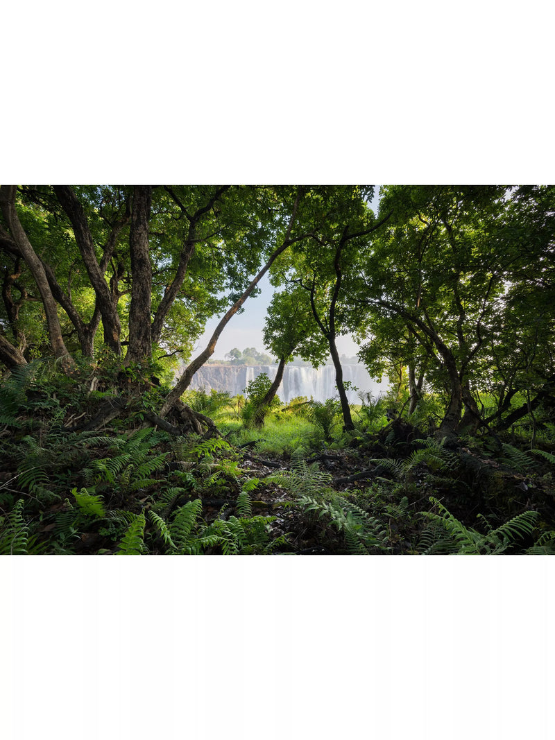 Nikon Z 14-30mm f/4 S ultra wide lens, imported from the UK